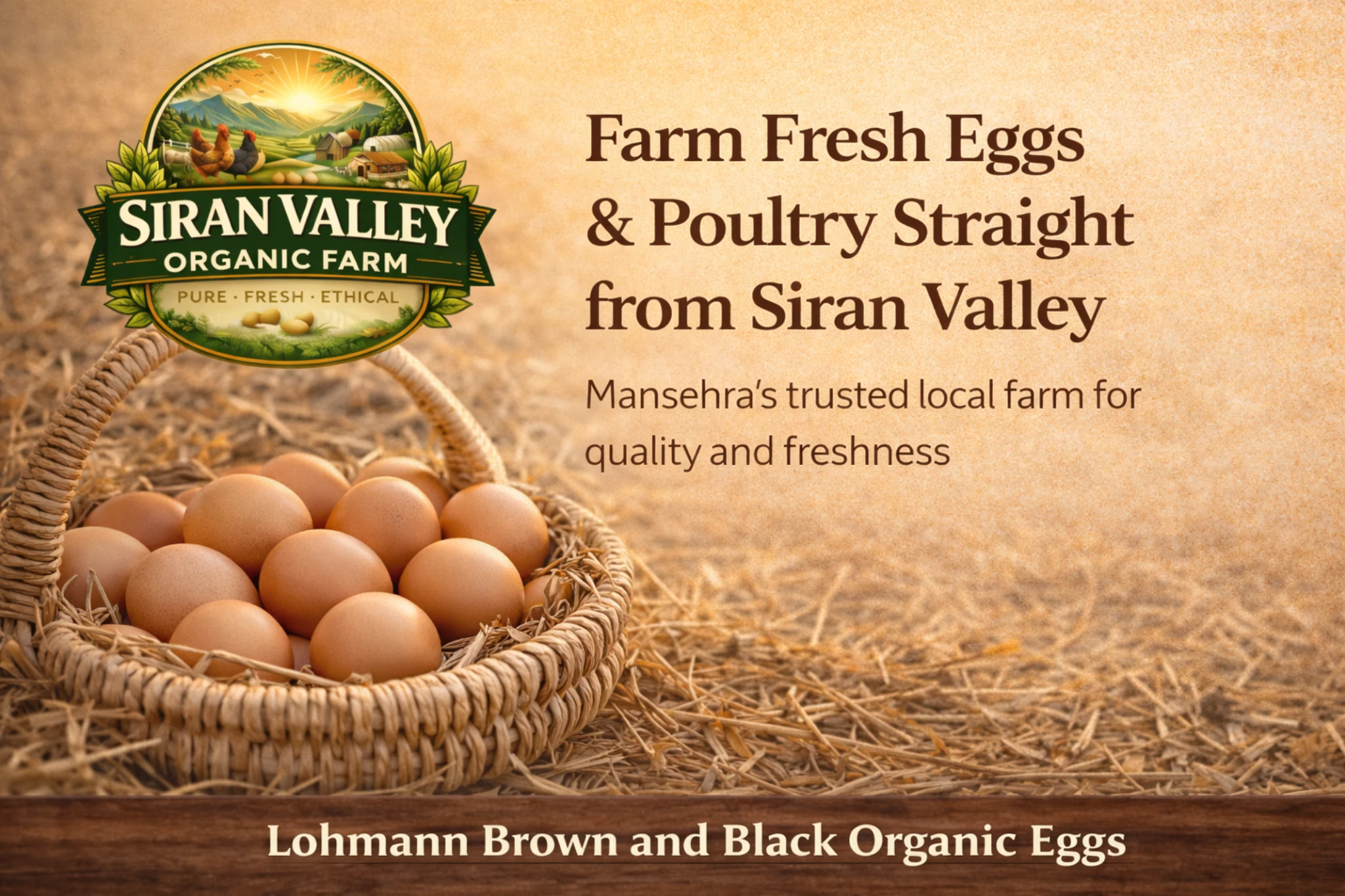 Siran Valley farm fresh eggs and meat hero
