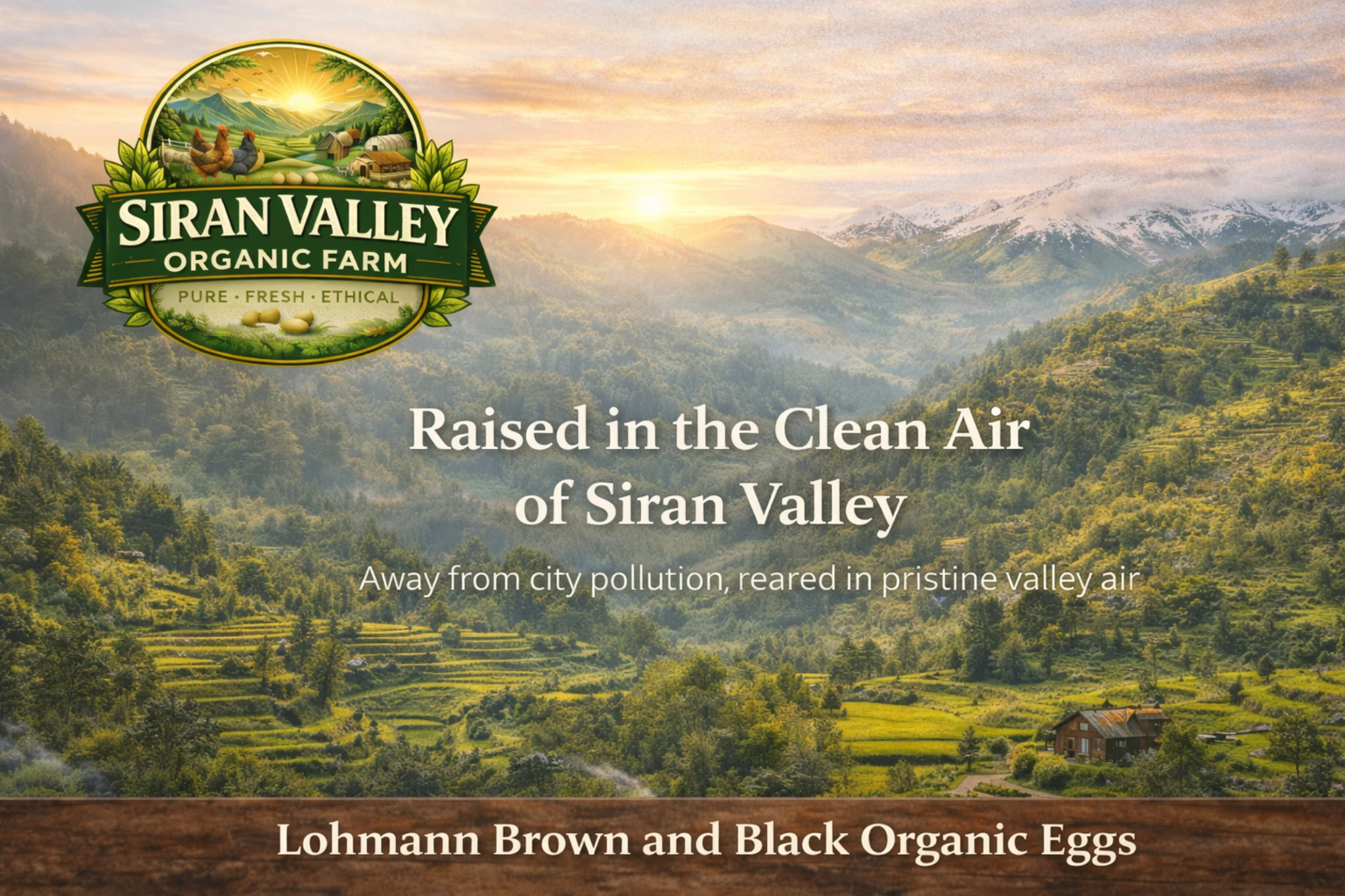 Farm fresh chicken from Siran Valley