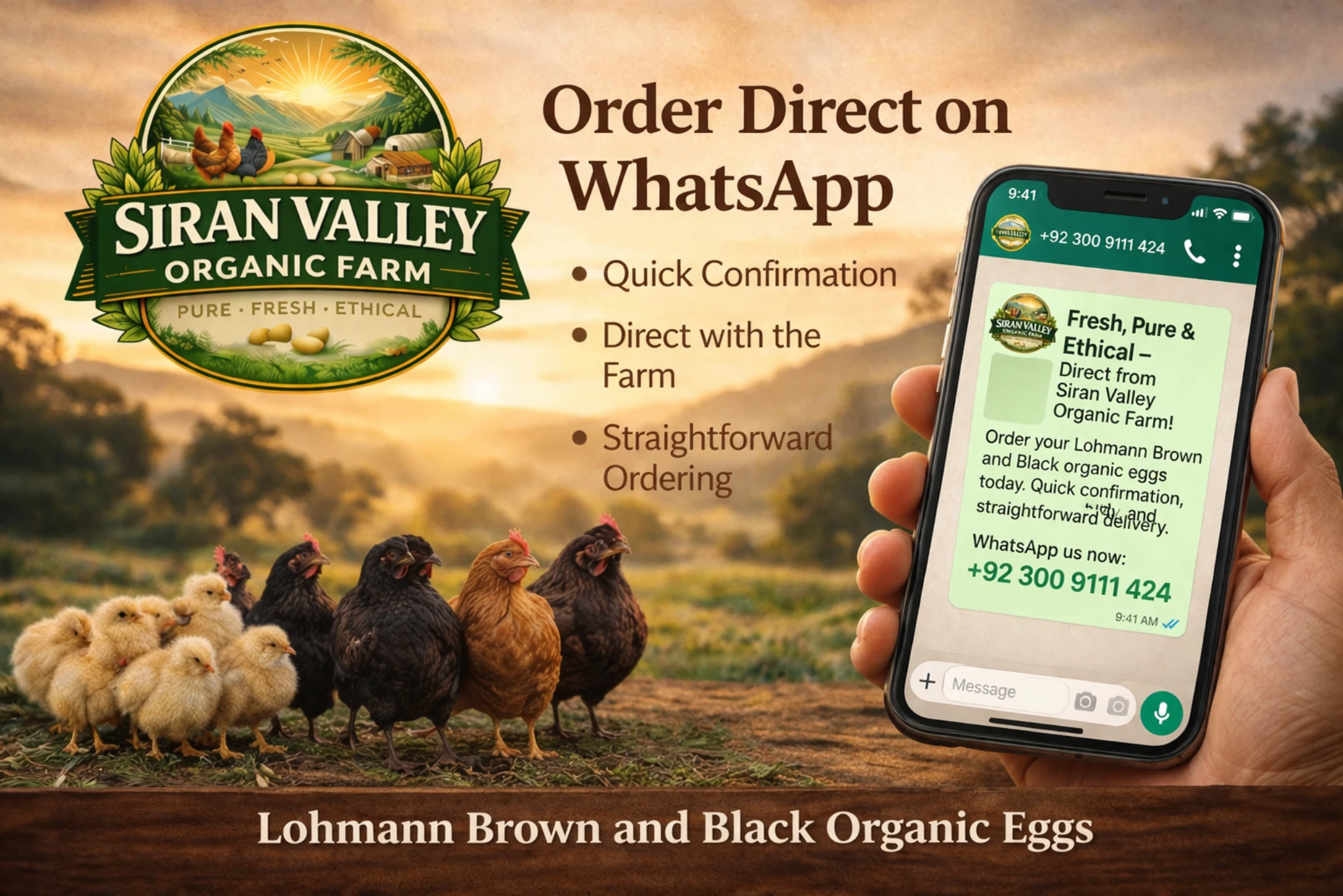 12 egg pack from Siran Valley
